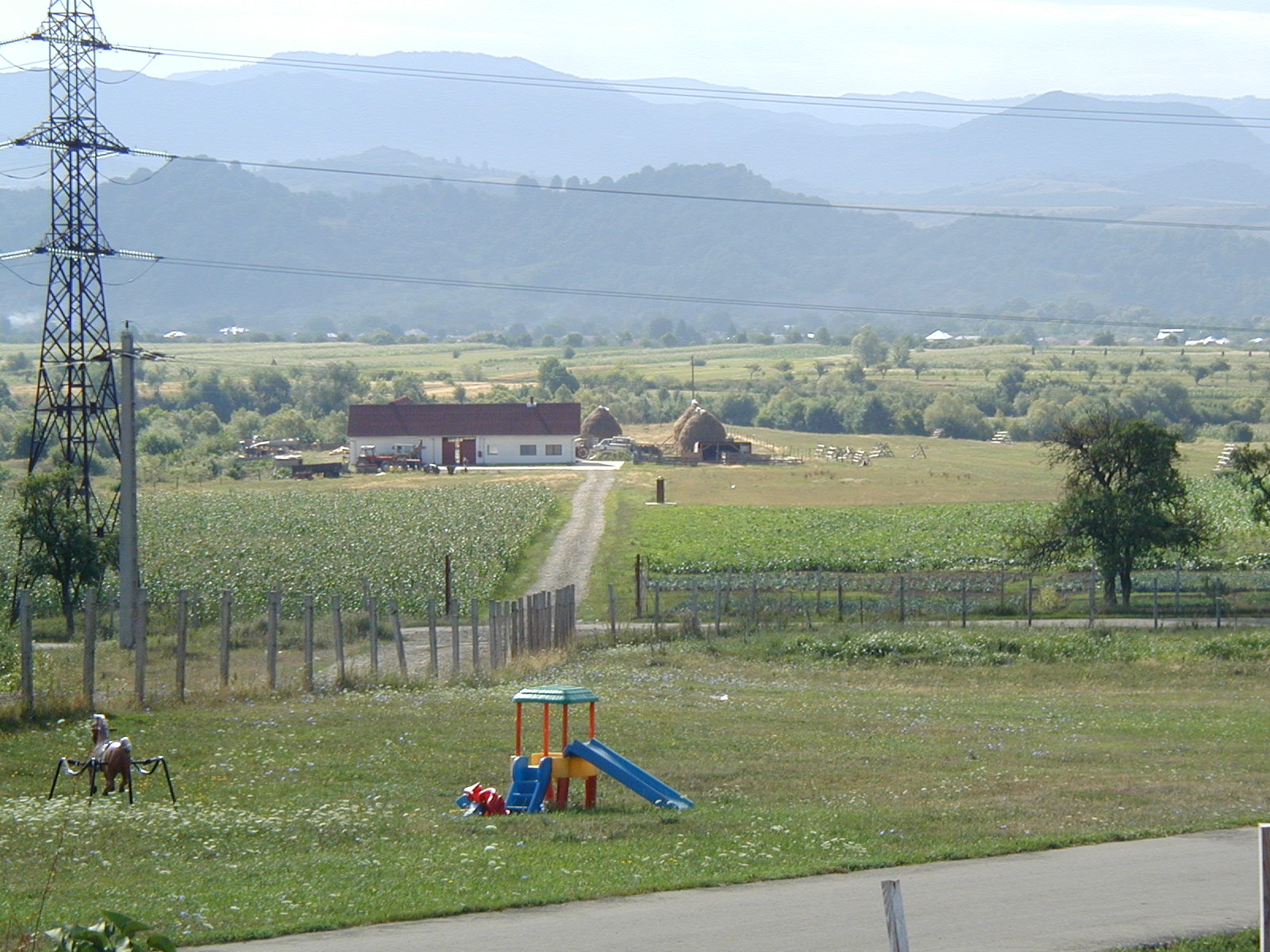 The farm at Bistritia.